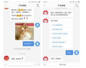 网易七鱼智能客服 网络技术服务背后的电商守护者